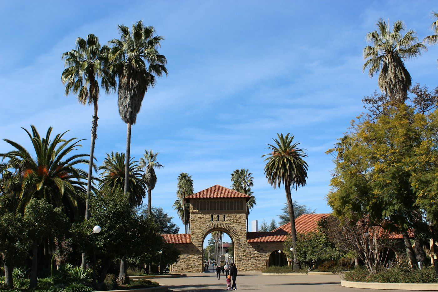 A palm-lined walkway and sandstone arch on a Peninsula campus