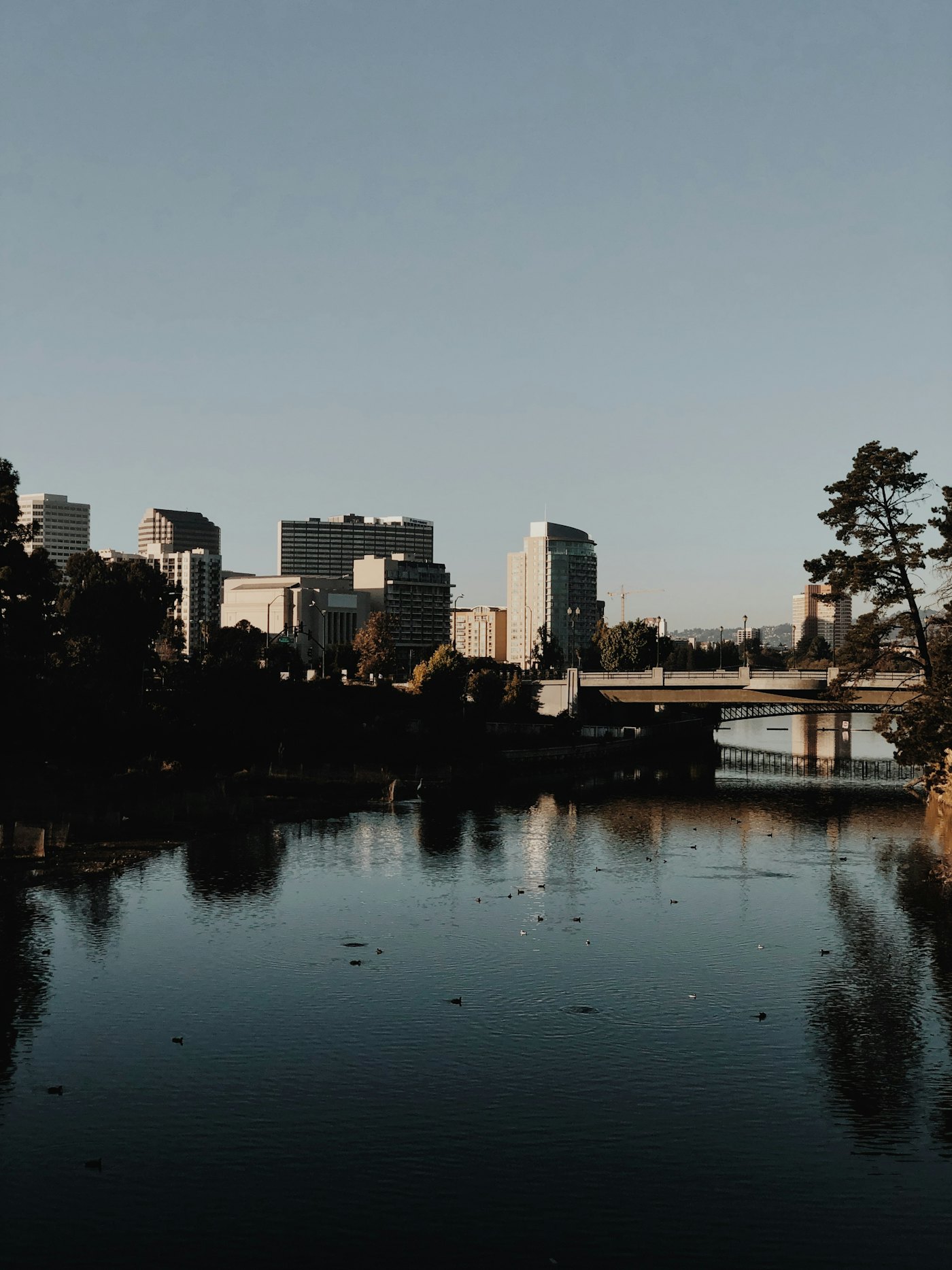 The downtown Oakland skyline seen across Lake Merritt at dusk
